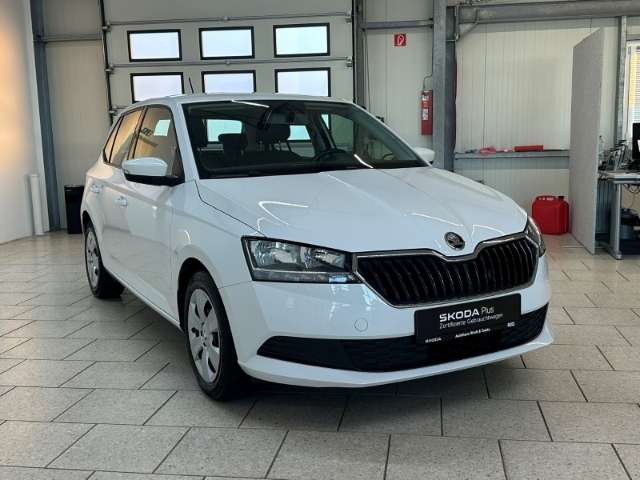 Fahrzeugbild eines Skoda Fabia