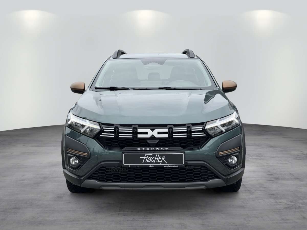 Fahrzeugbild eines Dacia Sandero