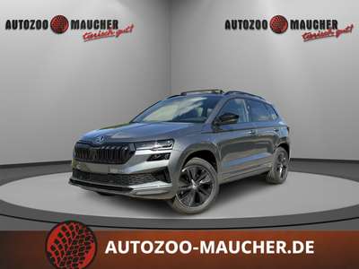 Bild Skoda Karoq