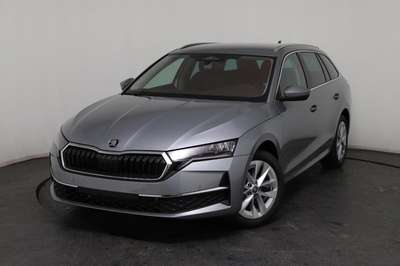 Bild Skoda Octavia