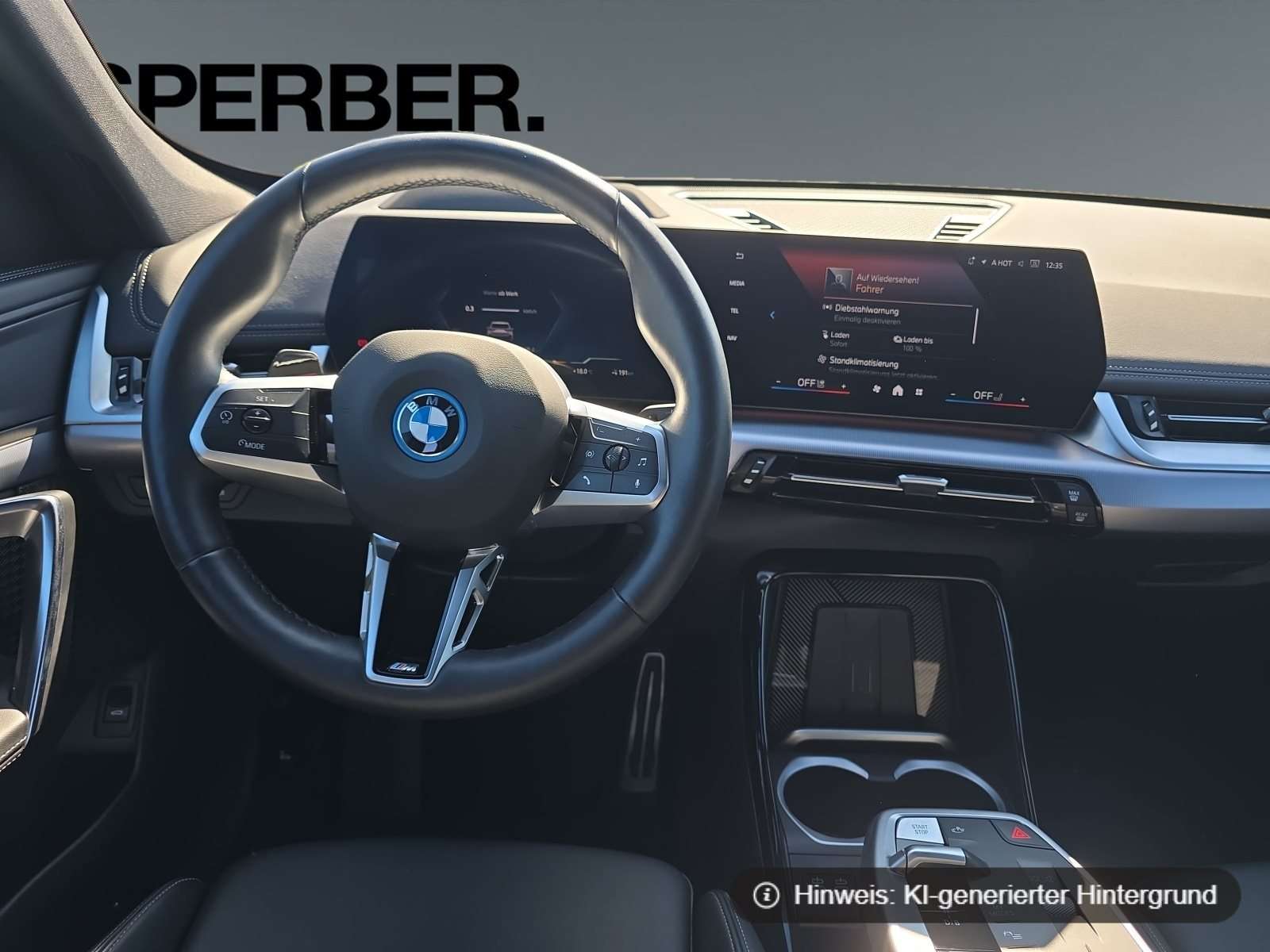 Fahrzeugbild eines BMW iX1