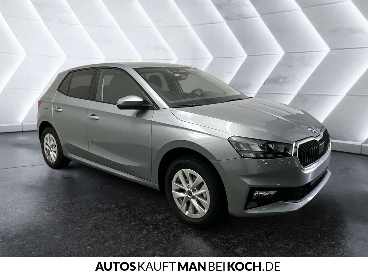 Fahrzeugbild eines Skoda Fabia