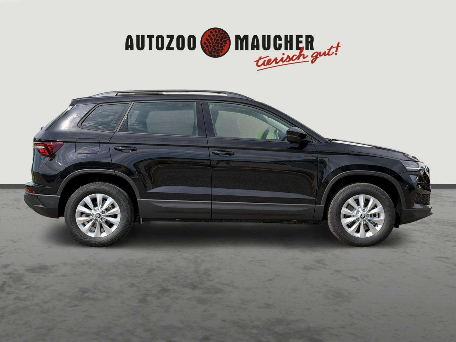 Fahrzeugbild eines Skoda Karoq