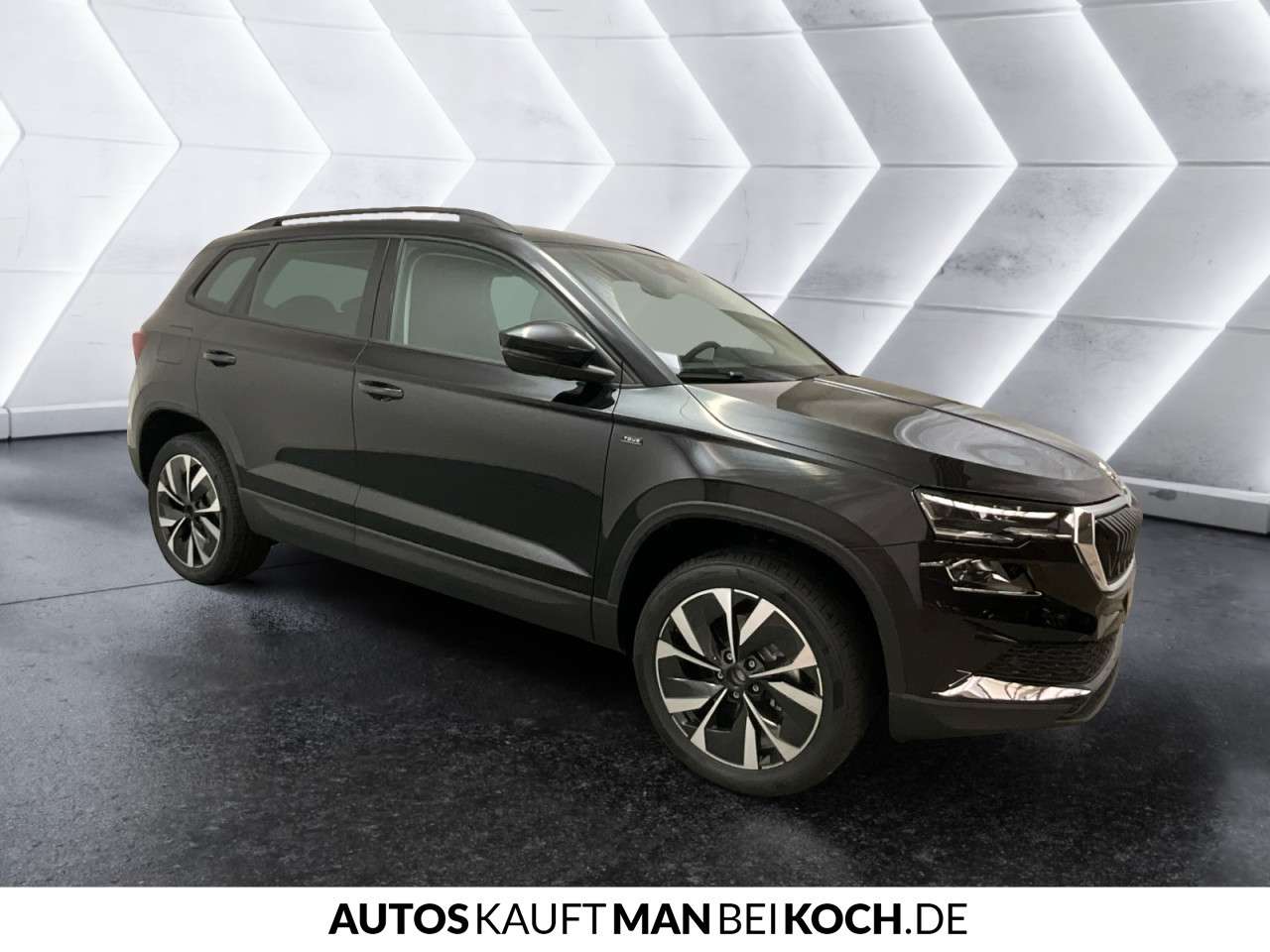 Fahrzeugbild eines Skoda Karoq
