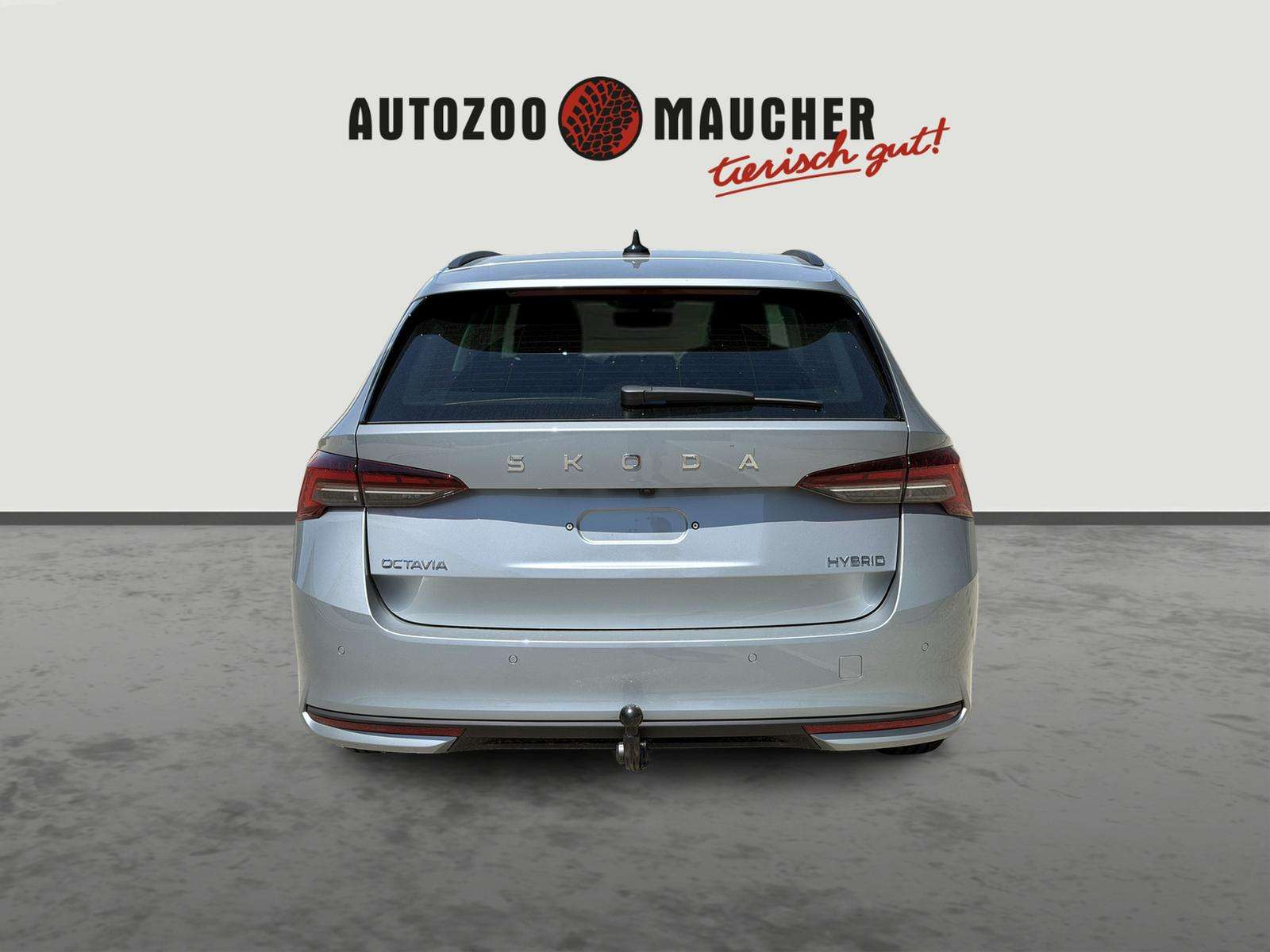 Fahrzeugbild eines Skoda Octavia