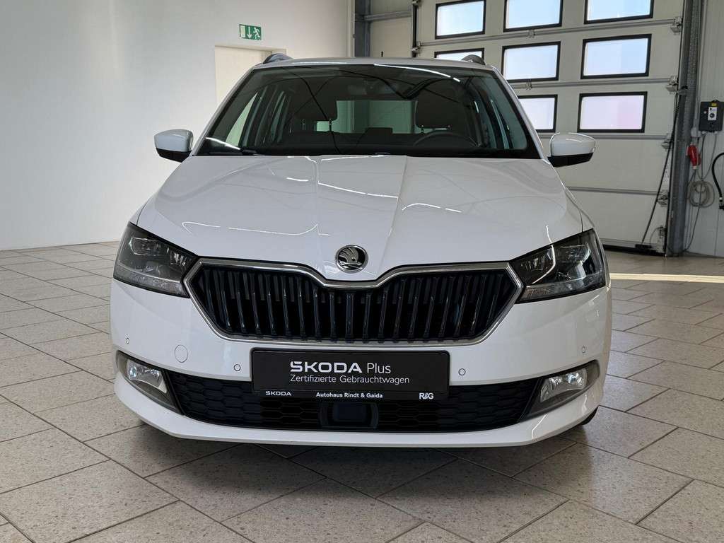 Fahrzeugbild eines Skoda Fabia