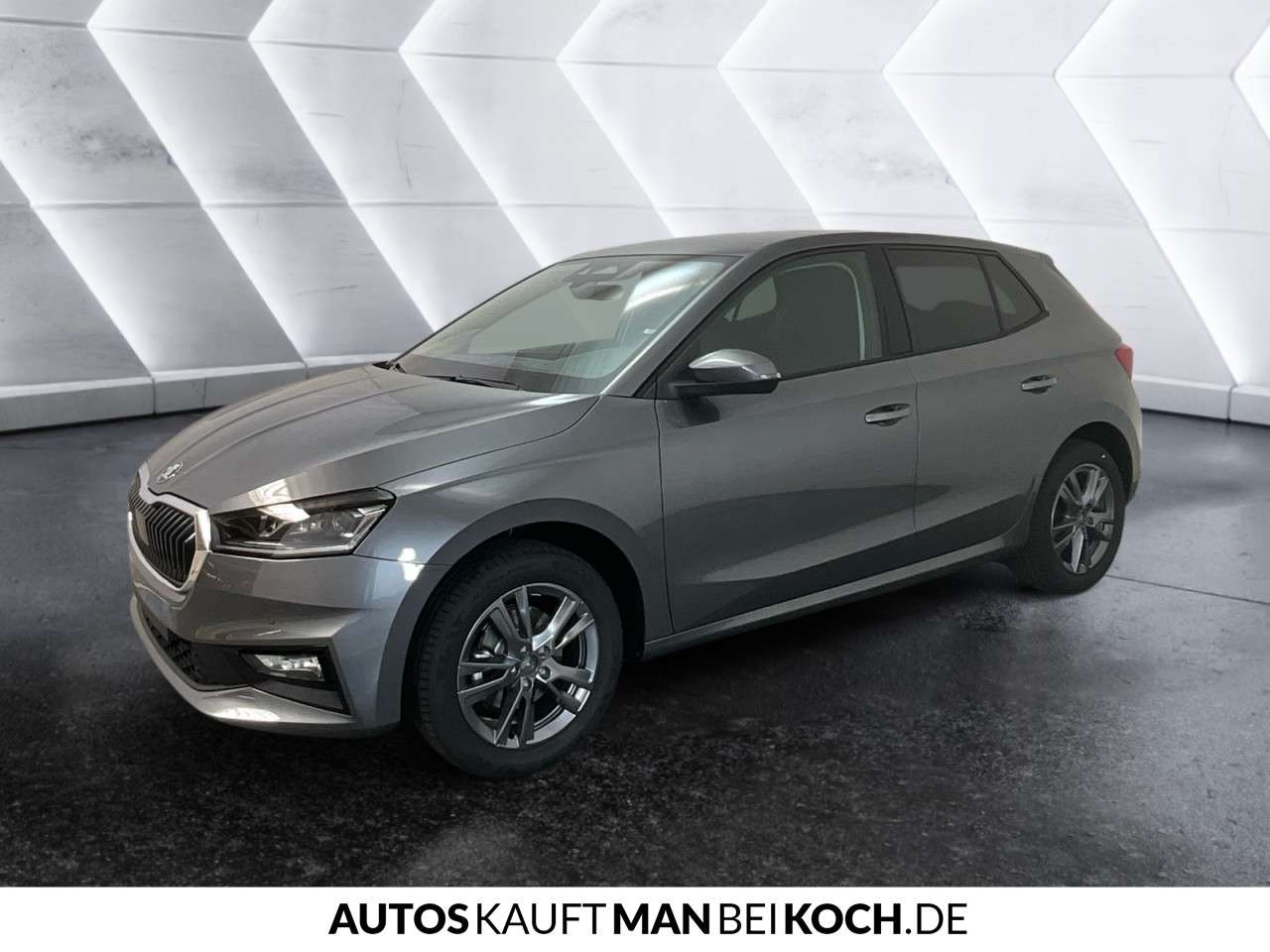 Fahrzeugbild eines Skoda Fabia
