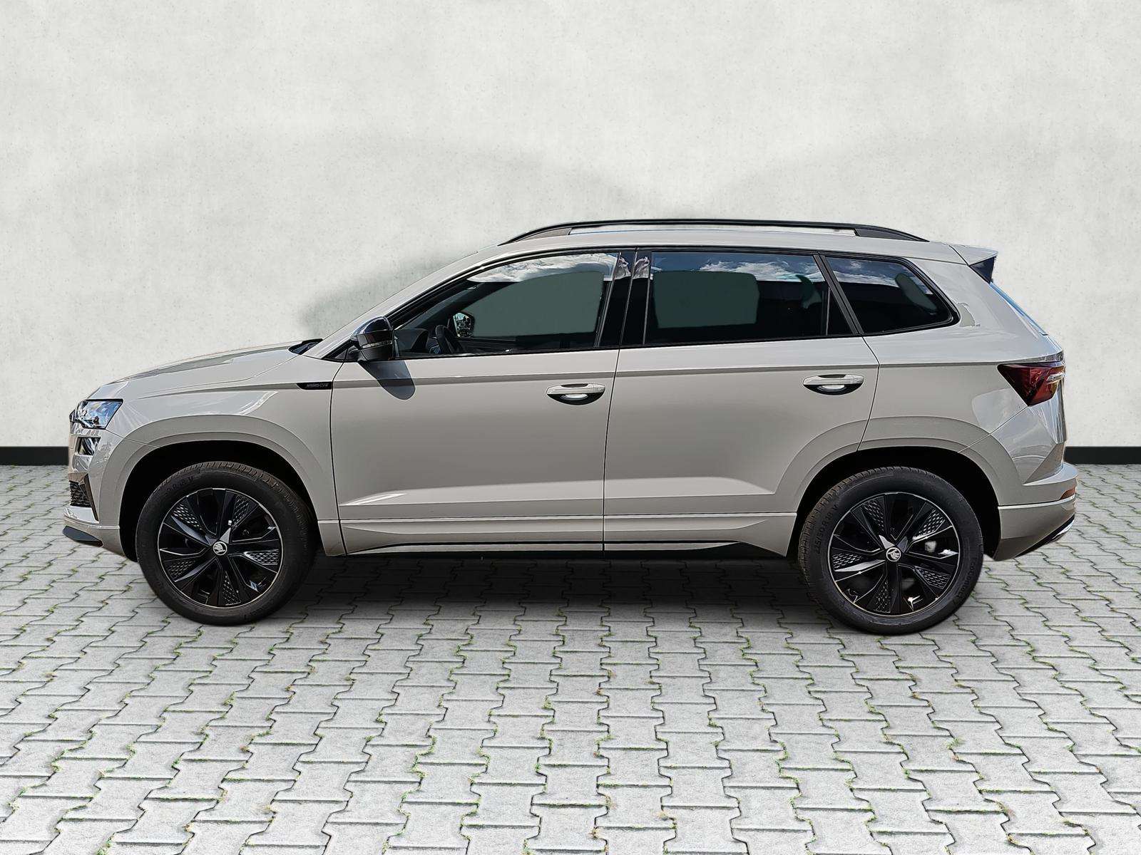 Fahrzeugbild eines Skoda Karoq