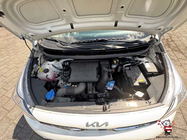 Fahrzeugbild eines Kia Picanto