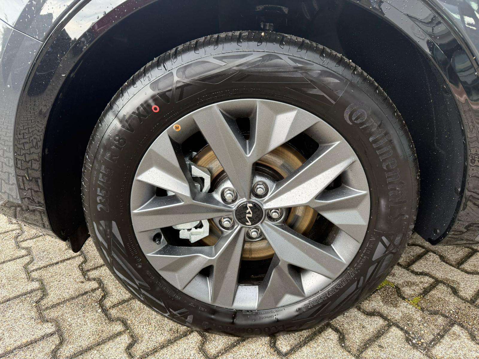 Fahrzeugbild eines Kia Sportage