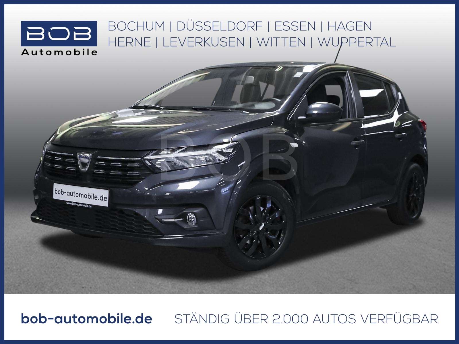 Fahrzeugbild eines Dacia Sandero