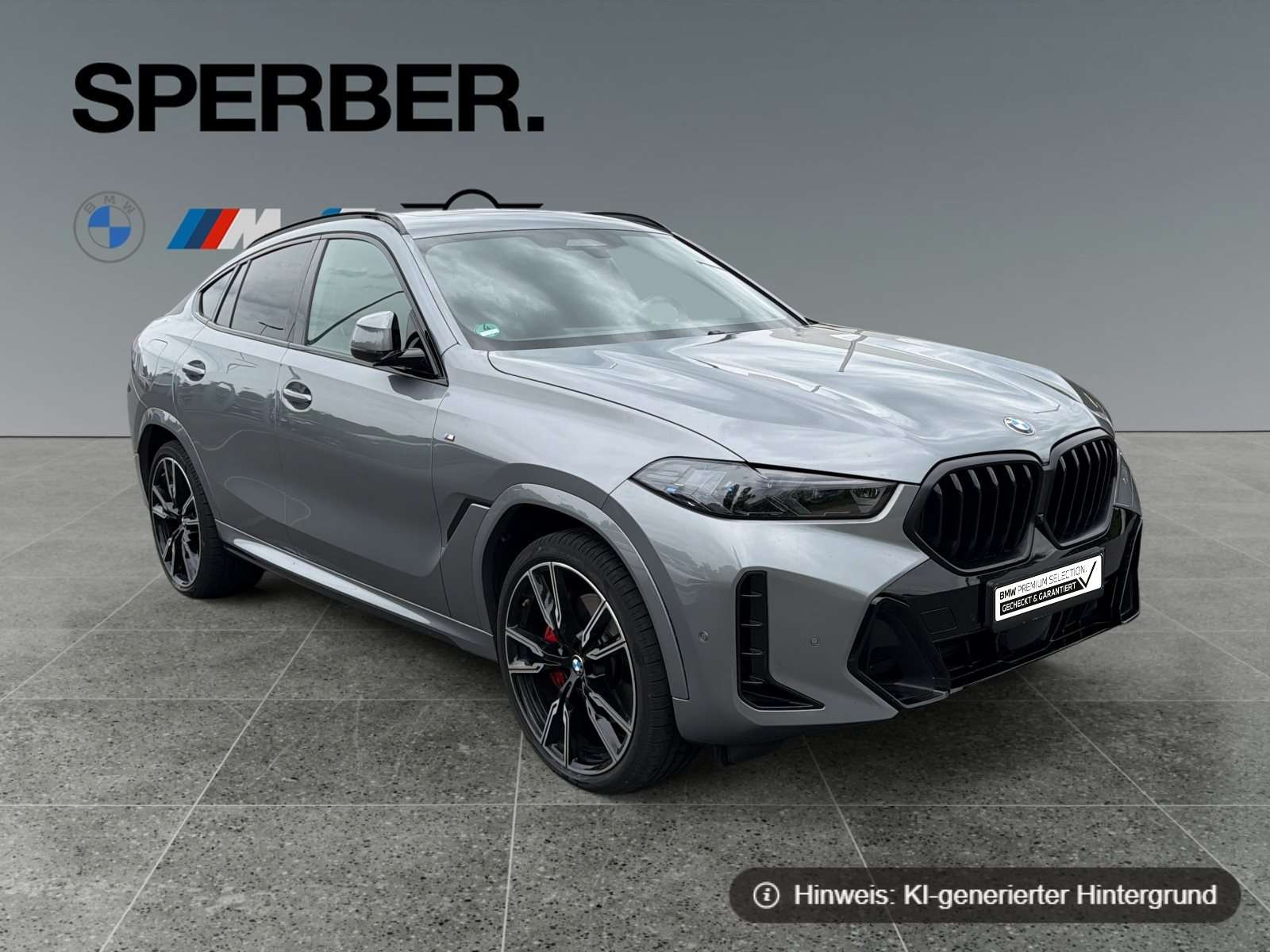 Fahrzeugbild eines BMW X6
