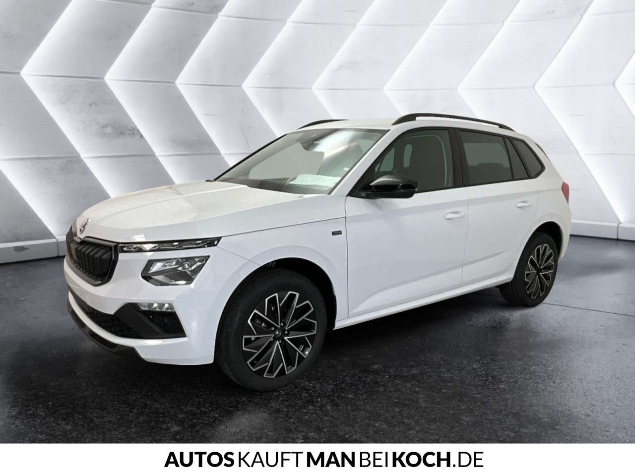 Fahrzeugbild eines Skoda Kamiq