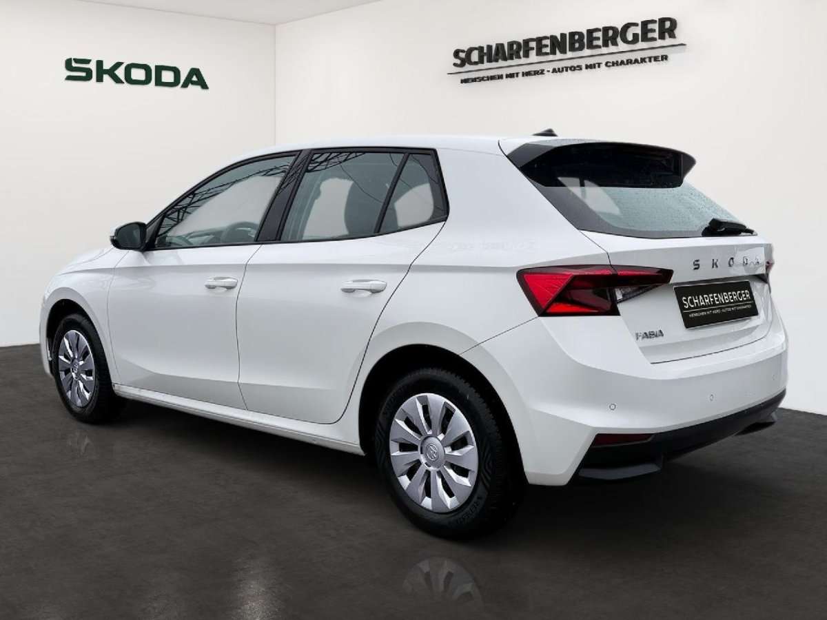 Fahrzeugbild eines Skoda Fabia