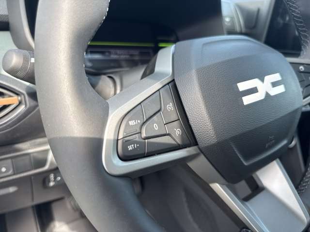 Fahrzeugbild eines Dacia Jogger