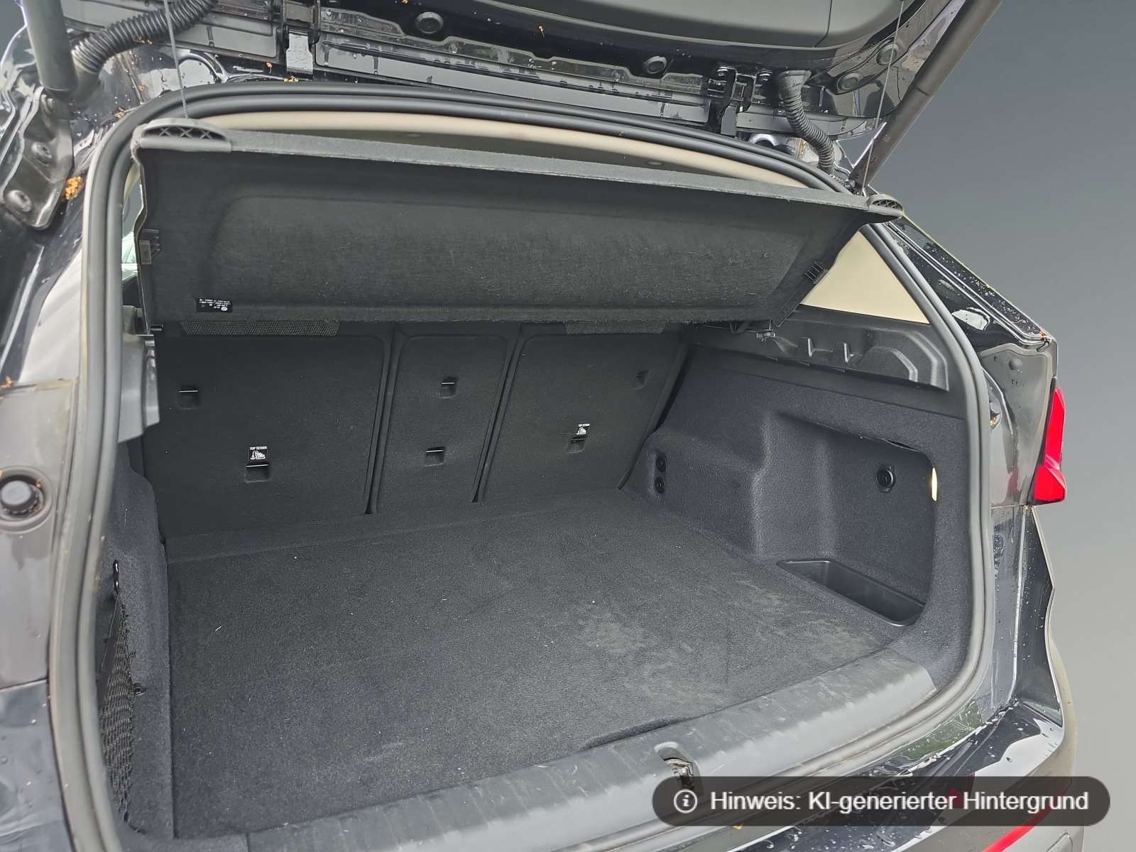Fahrzeugbild eines BMW X1