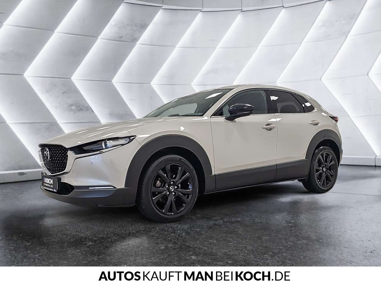 Fahrzeugbild eines Mazda CX-30