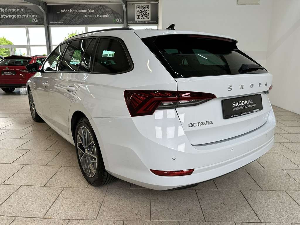 Fahrzeugbild eines Skoda Octavia