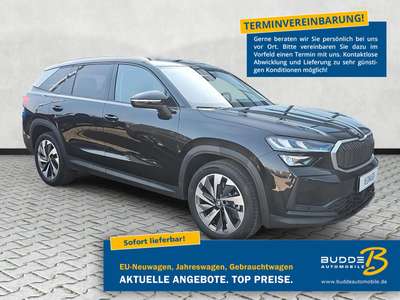 Bild Skoda Kodiaq