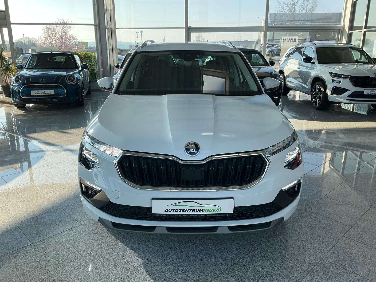 Fahrzeugbild eines Skoda Kamiq