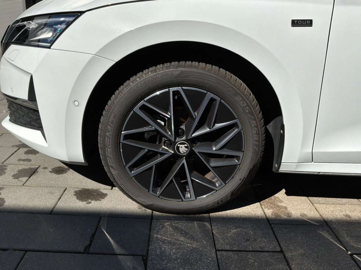 Fahrzeugbild eines Skoda Octavia