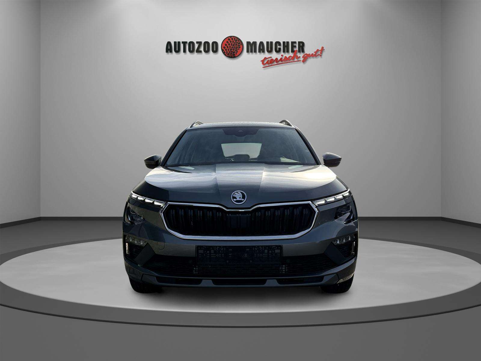 Fahrzeugbild eines Skoda Kamiq