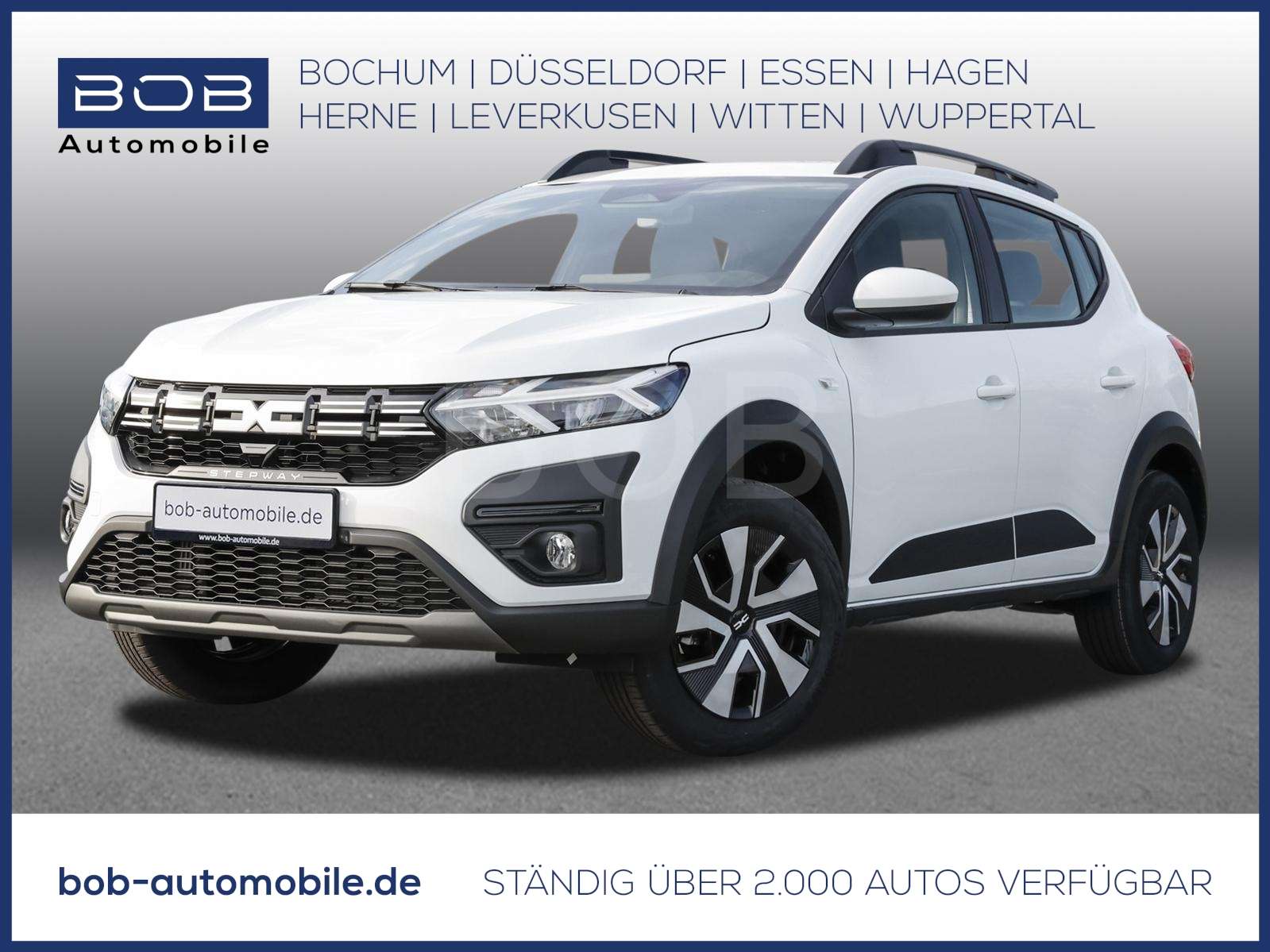 Fahrzeugbild eines Dacia Sandero