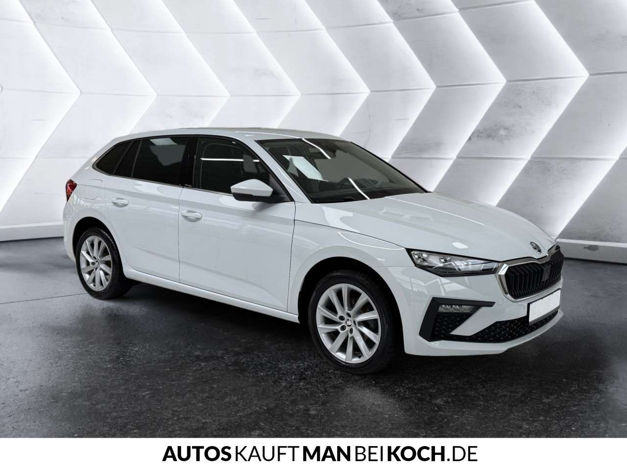 Fahrzeugbild eines Skoda Scala