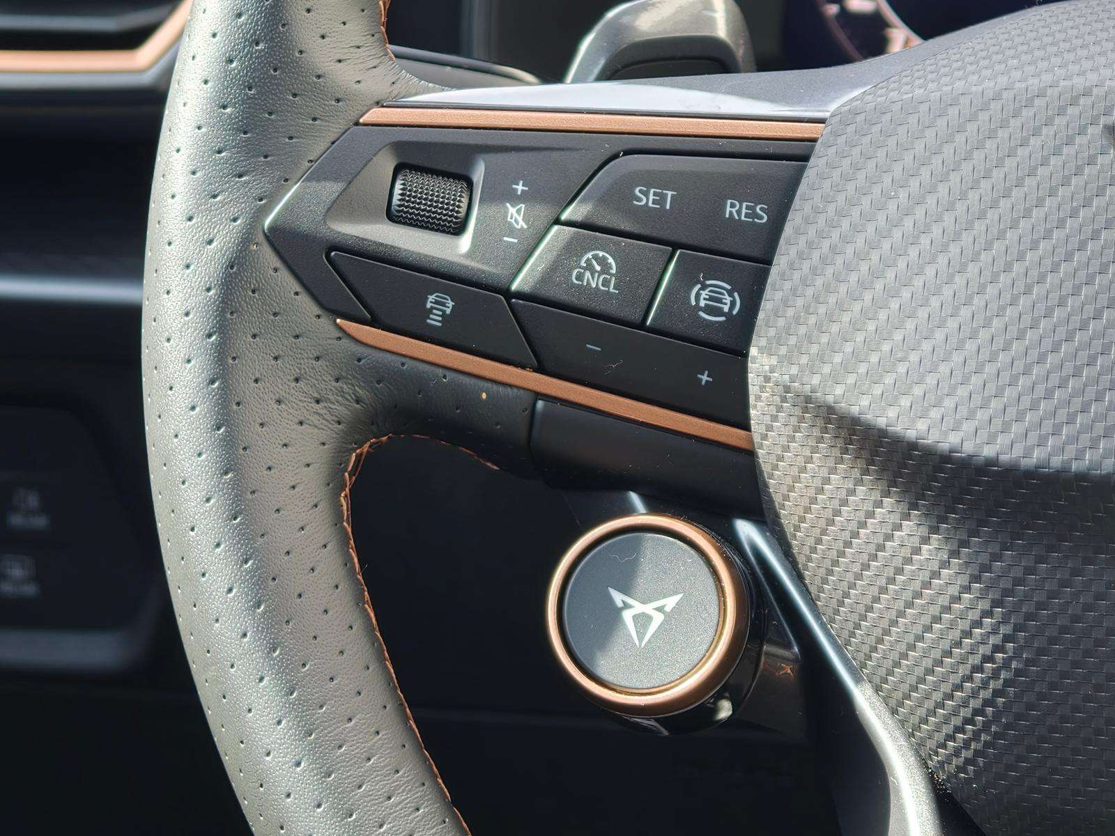 Fahrzeugbild eines CUPRA Formentor