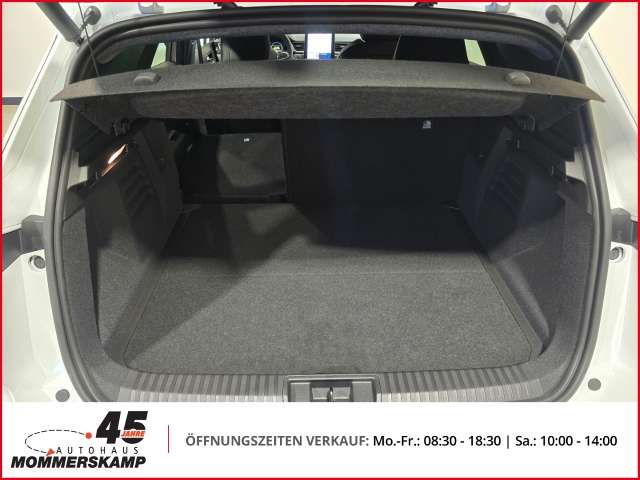 Fahrzeugbild eines Mitsubishi Grandis