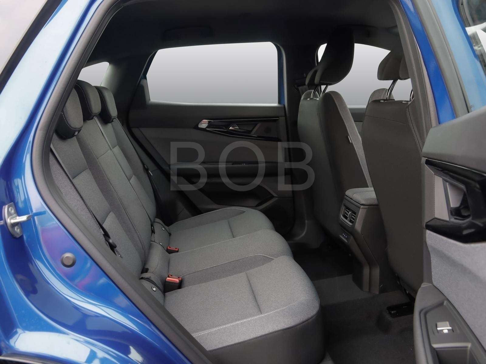 Fahrzeugbild eines Renault Austral