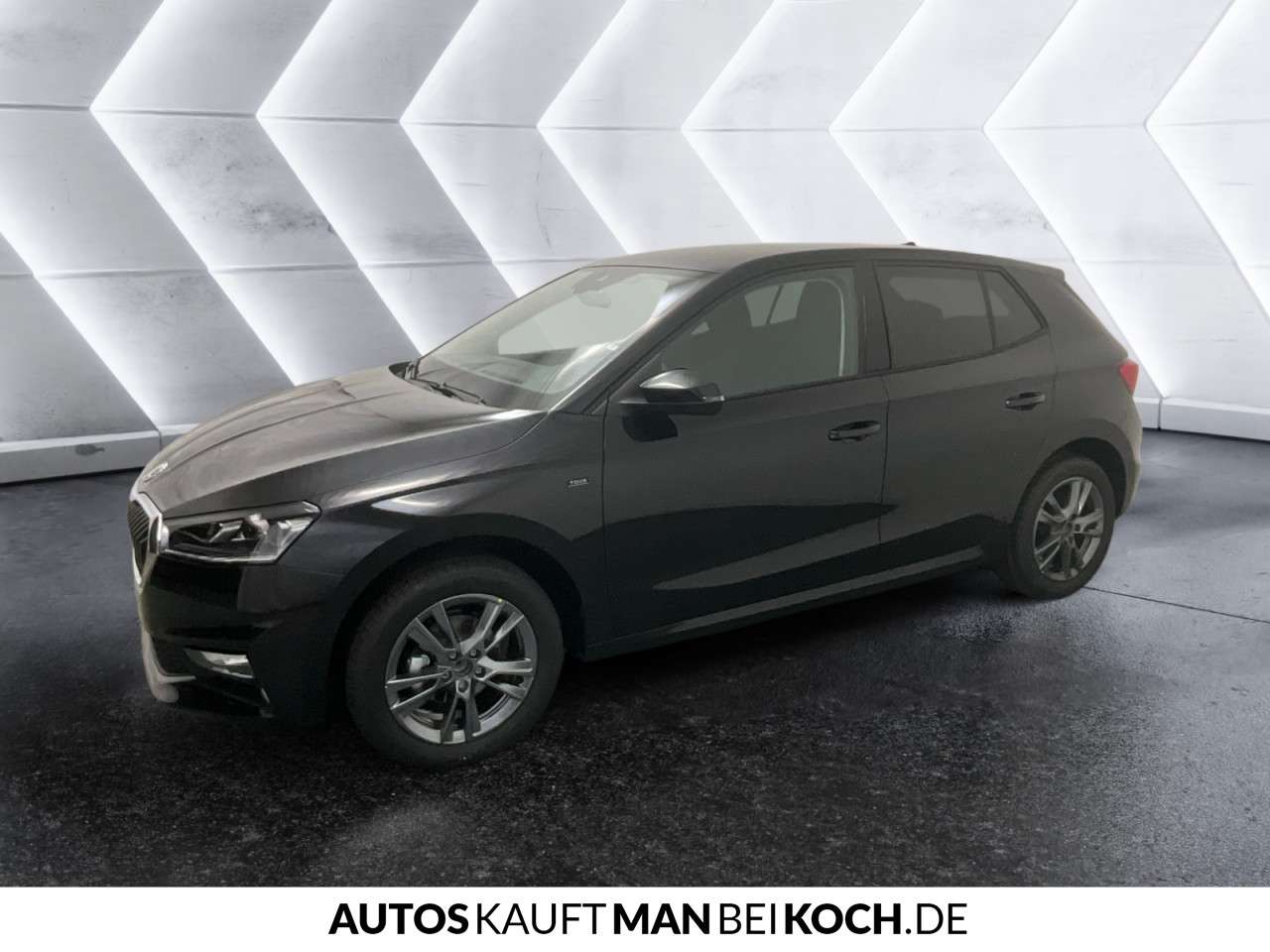 Fahrzeugbild eines Skoda Fabia