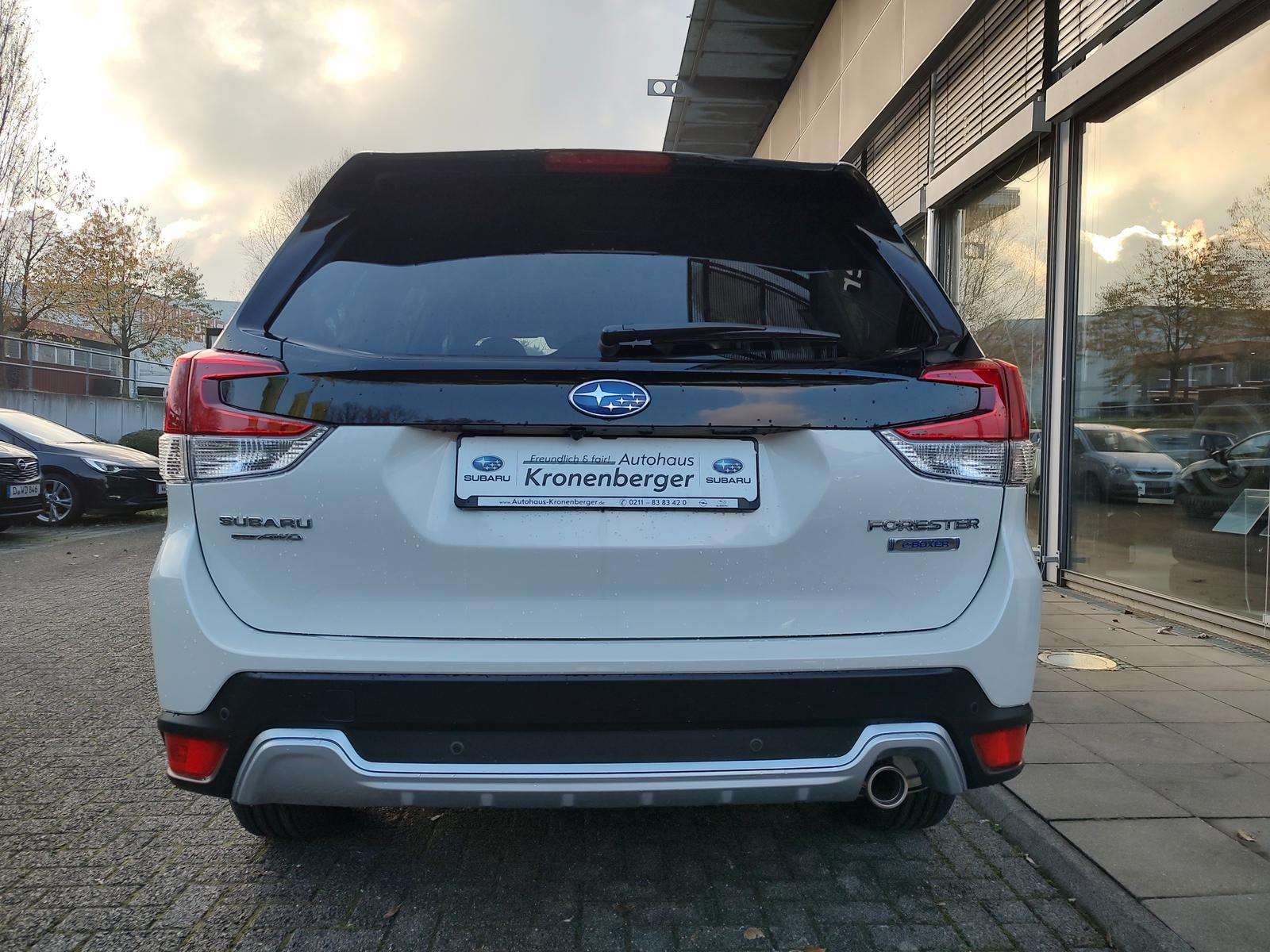 Fahrzeugbild eines Subaru Forester