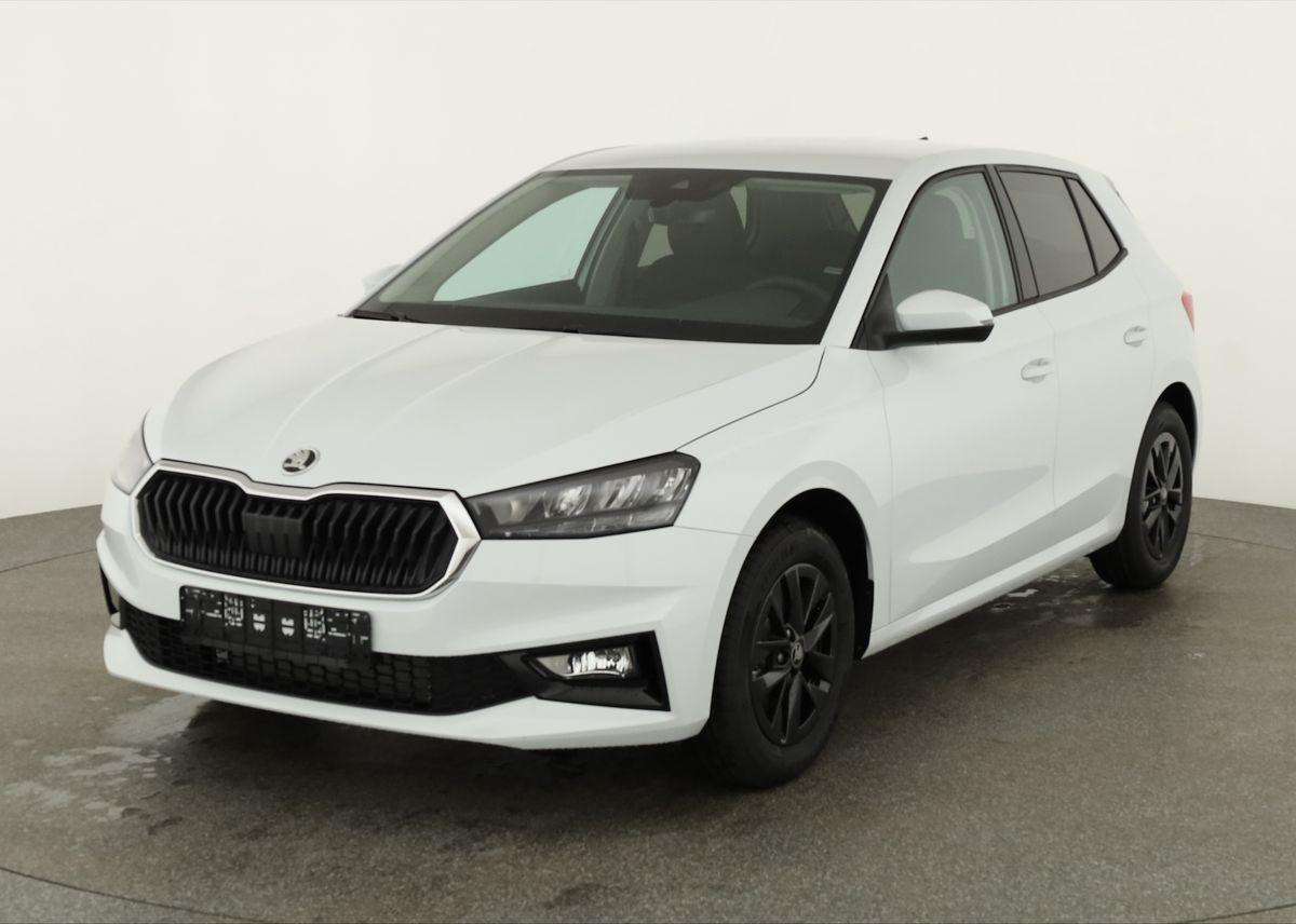 Fahrzeugbild eines Skoda Fabia
