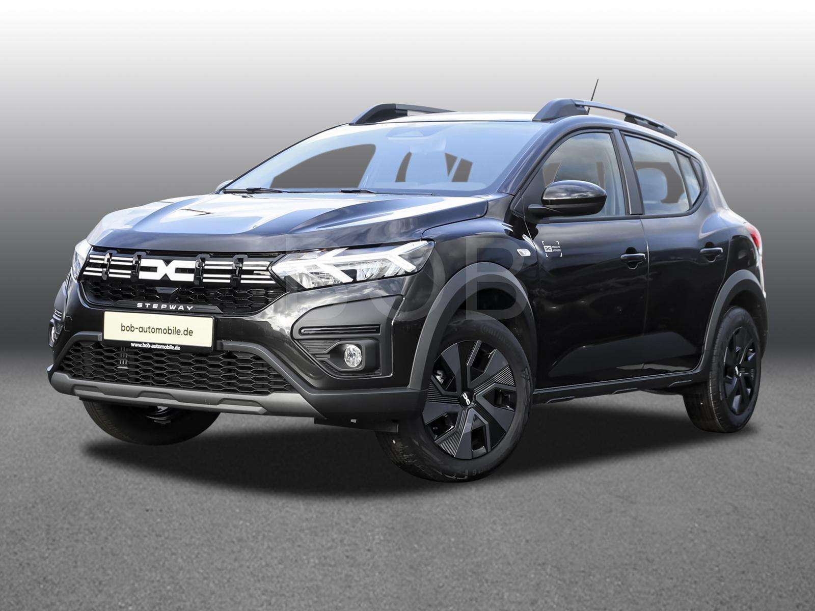 Fahrzeugbild eines Dacia Sandero