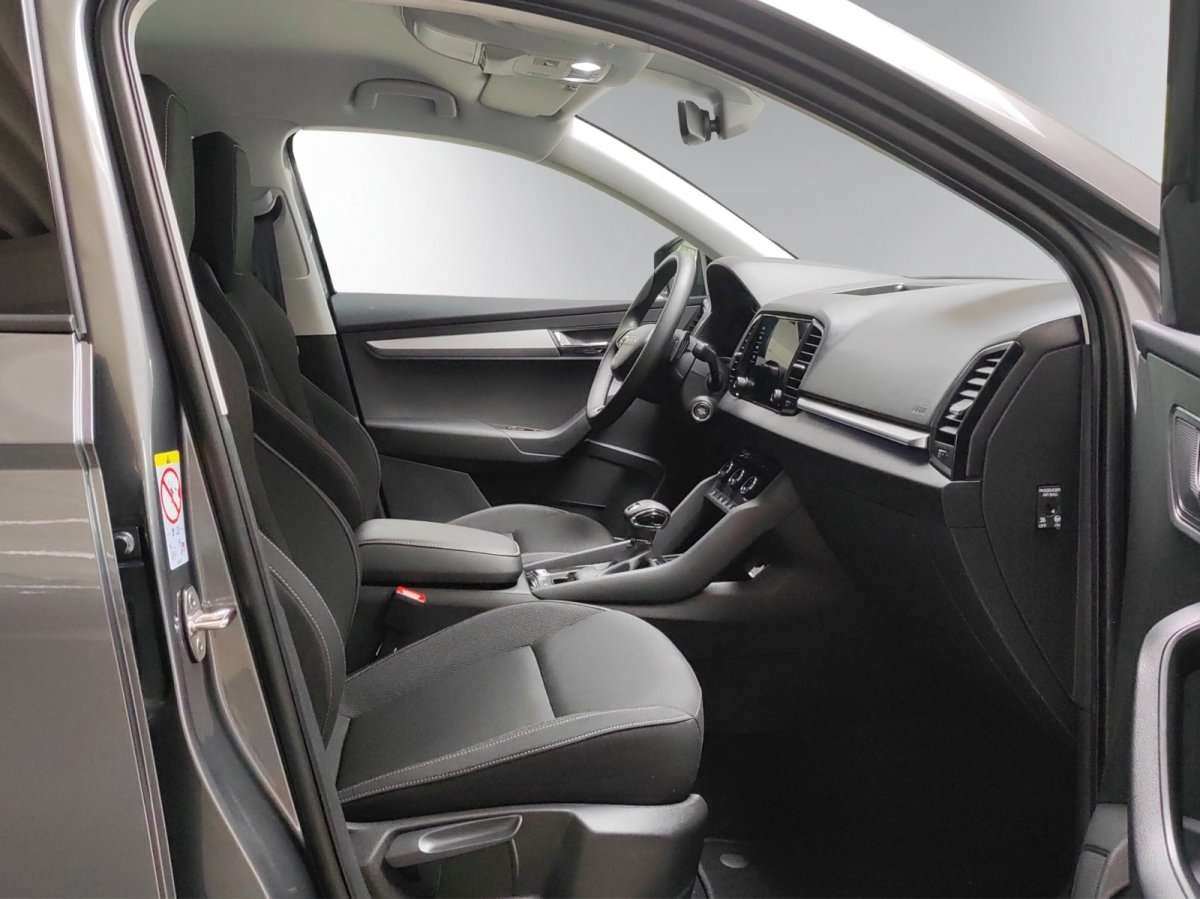 Fahrzeugbild eines Skoda Karoq
