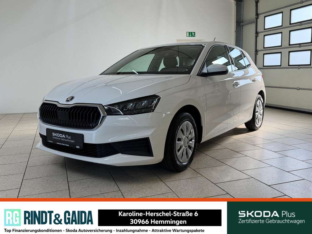 Fahrzeugbild eines Skoda Fabia