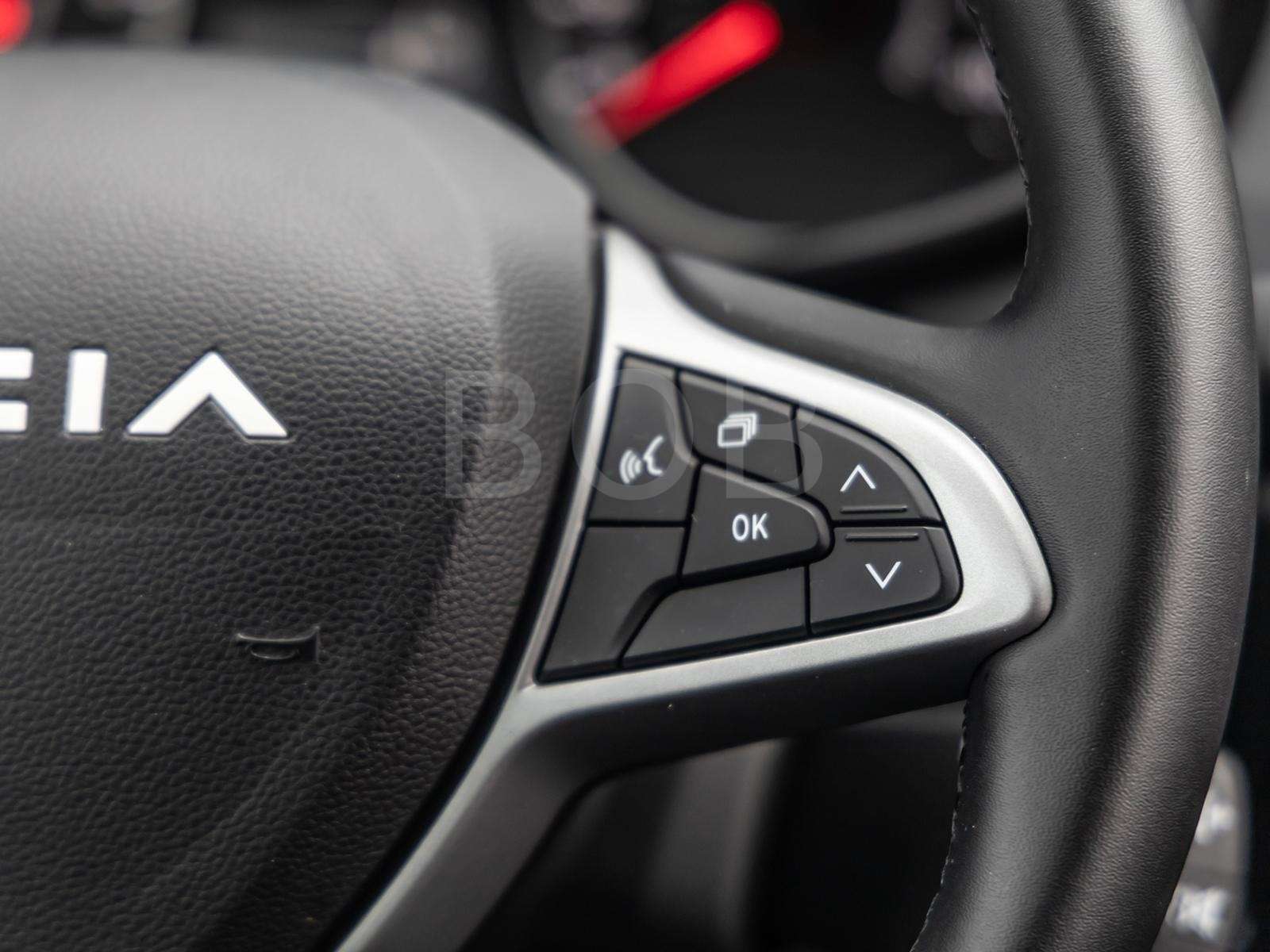 Fahrzeugbild eines Dacia Jogger