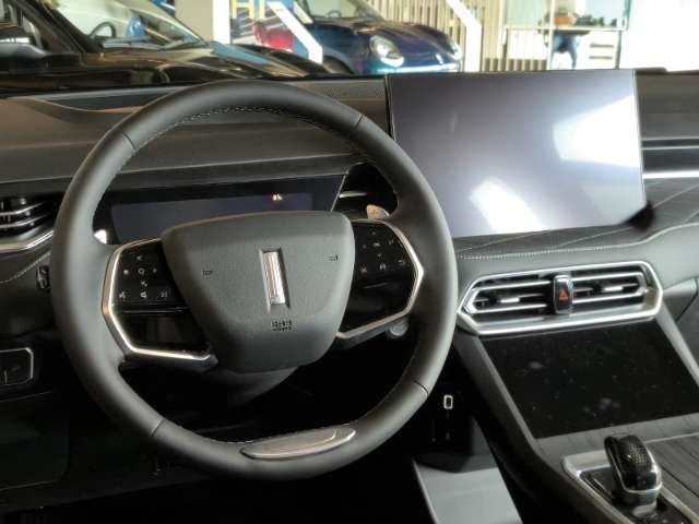 Fahrzeugbild eines GWM Wey 03