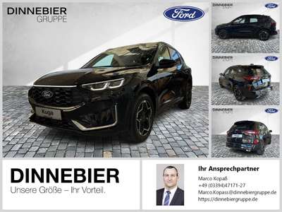 Bild Ford Kuga