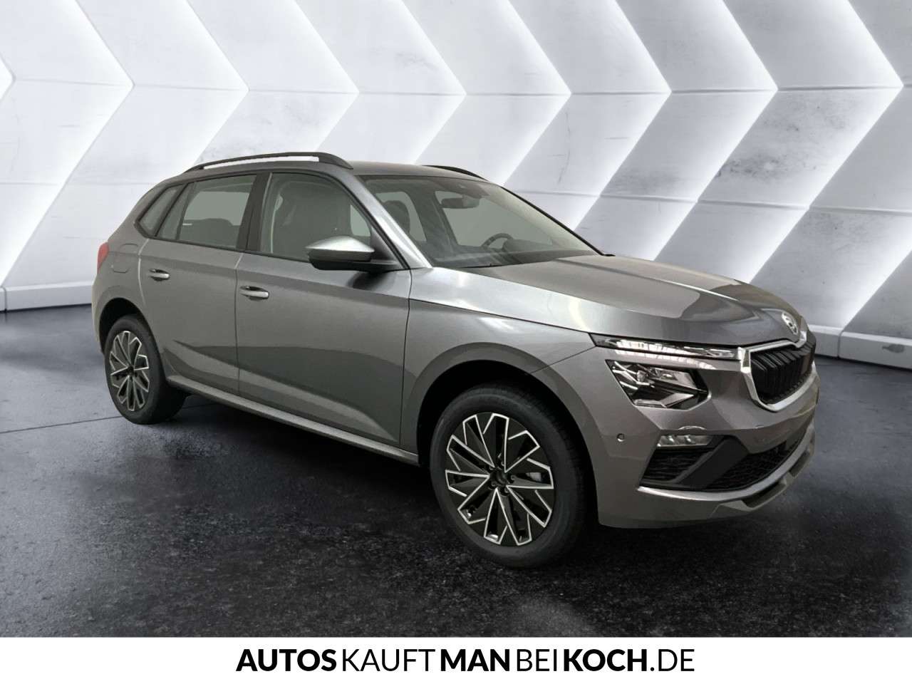 Fahrzeugbild eines Skoda Kamiq