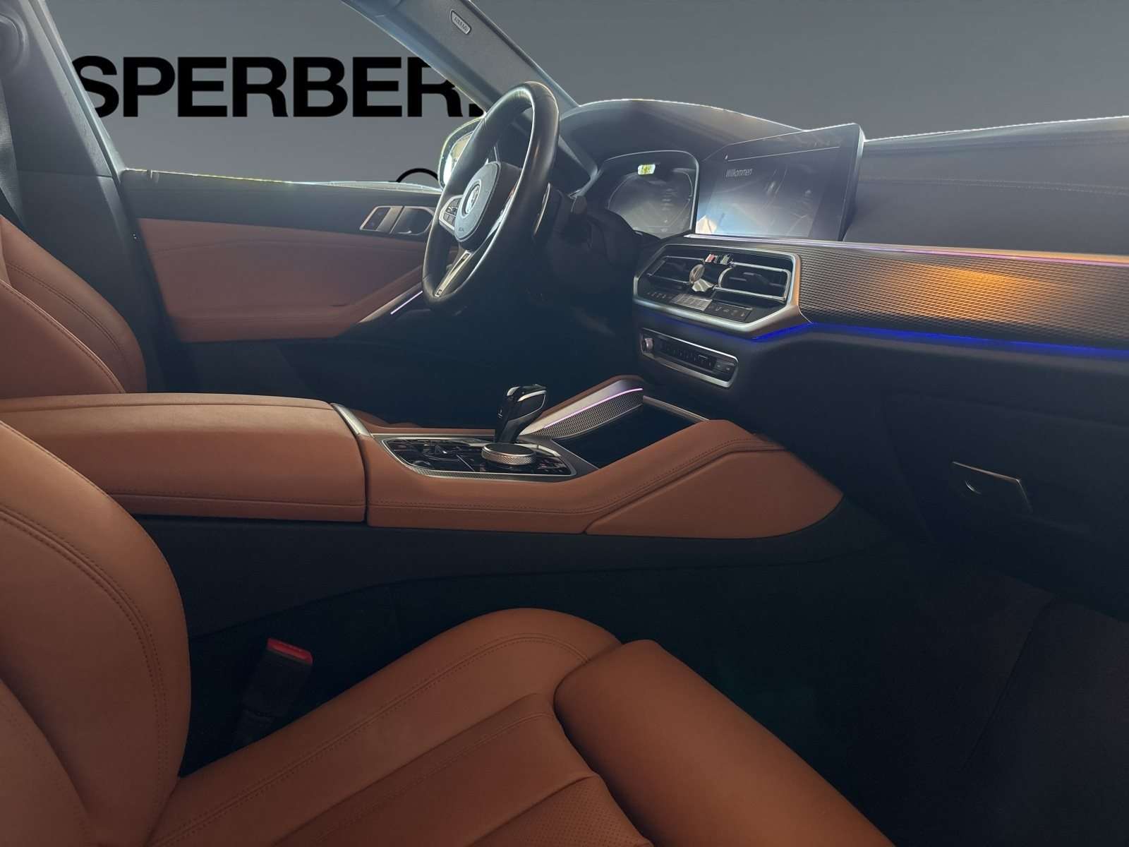 Fahrzeugbild eines BMW X6
