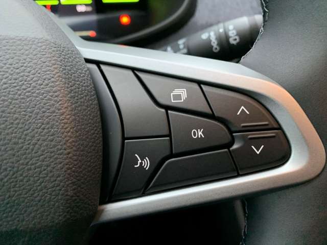 Fahrzeugbild eines Dacia Sandero