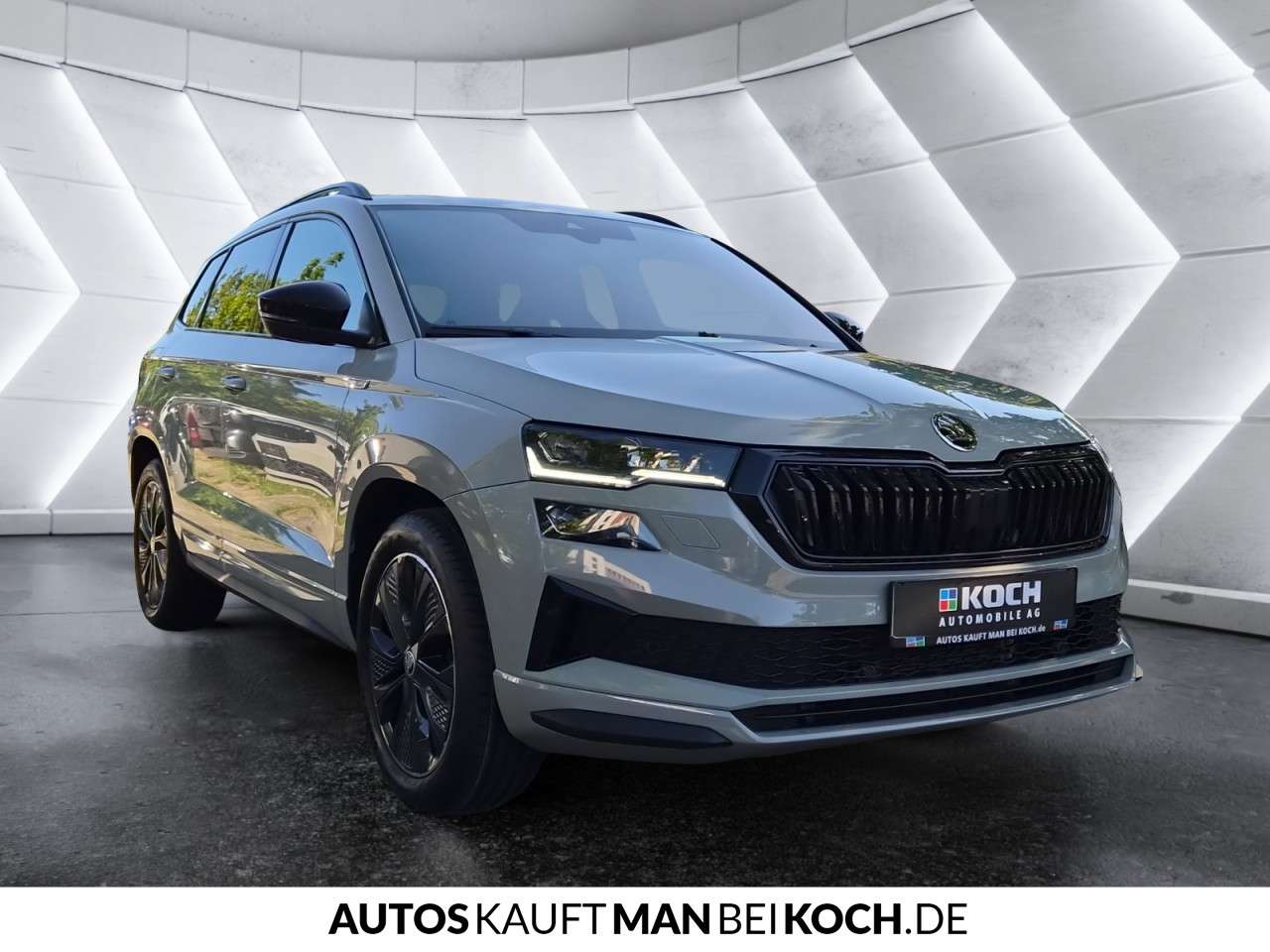 Fahrzeugbild eines Skoda Karoq