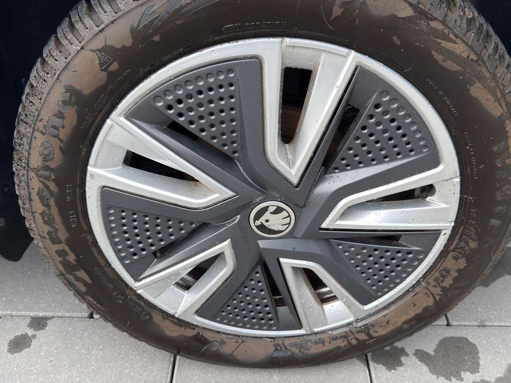 Fahrzeugbild eines Skoda Fabia