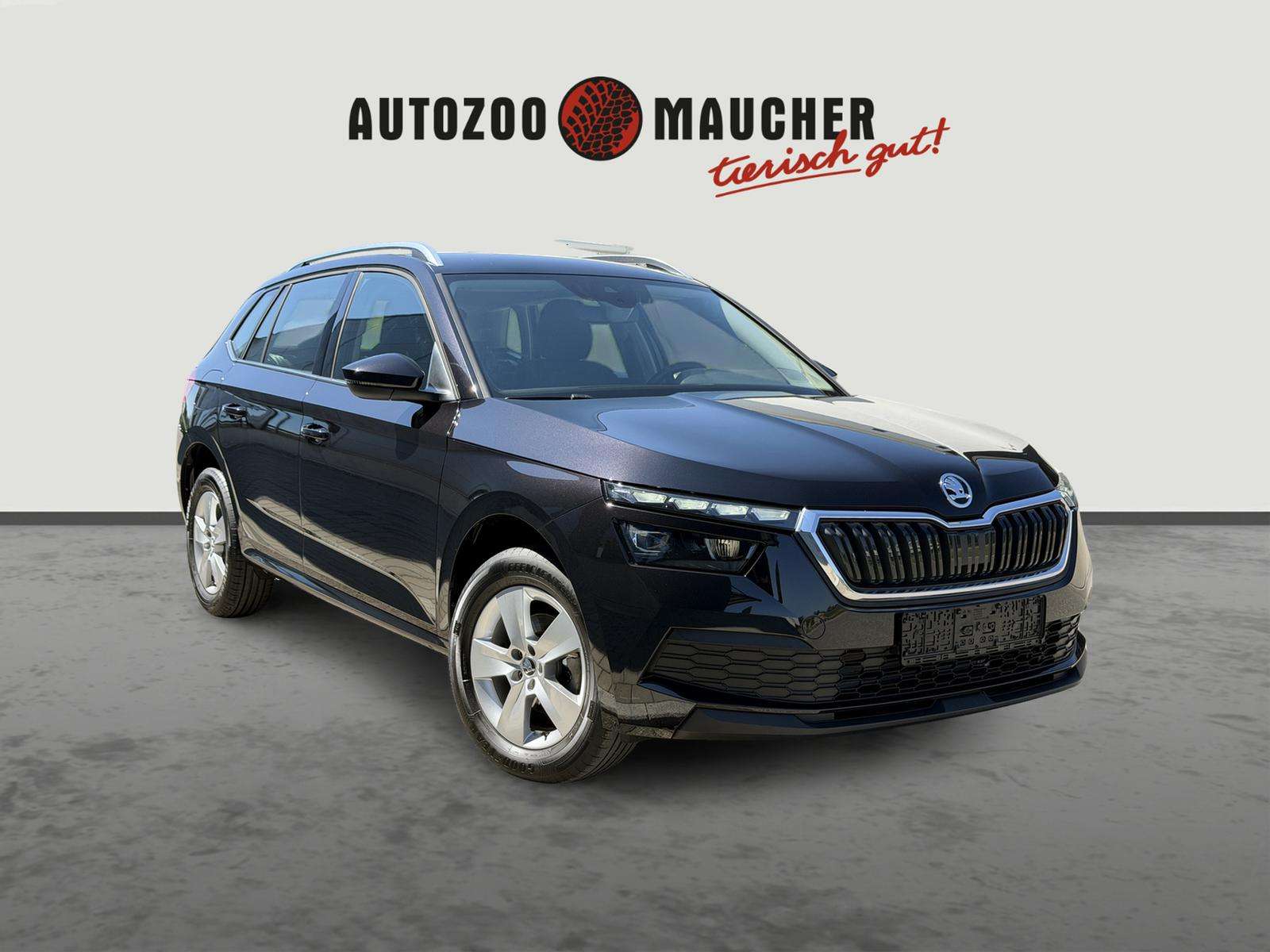 Fahrzeugbild eines Skoda Kamiq