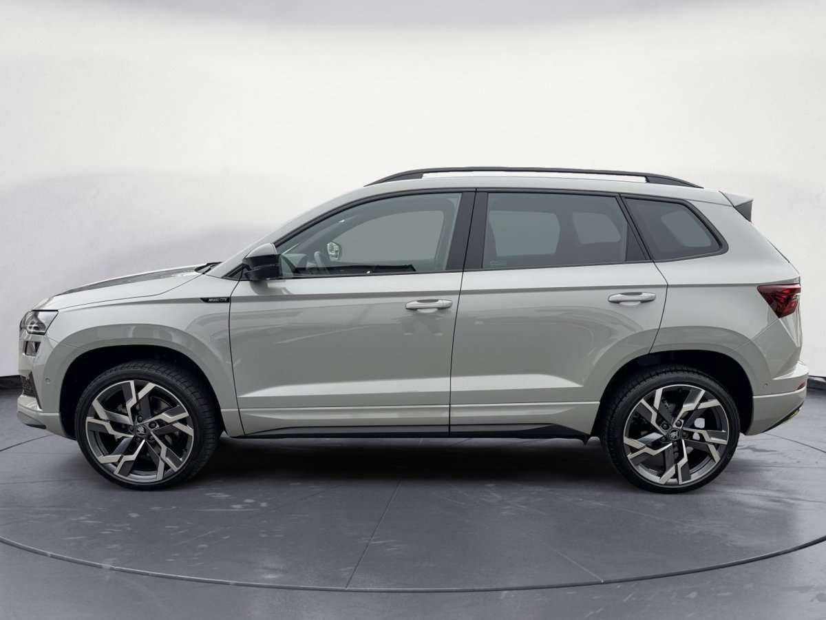 Fahrzeugbild eines Skoda Karoq