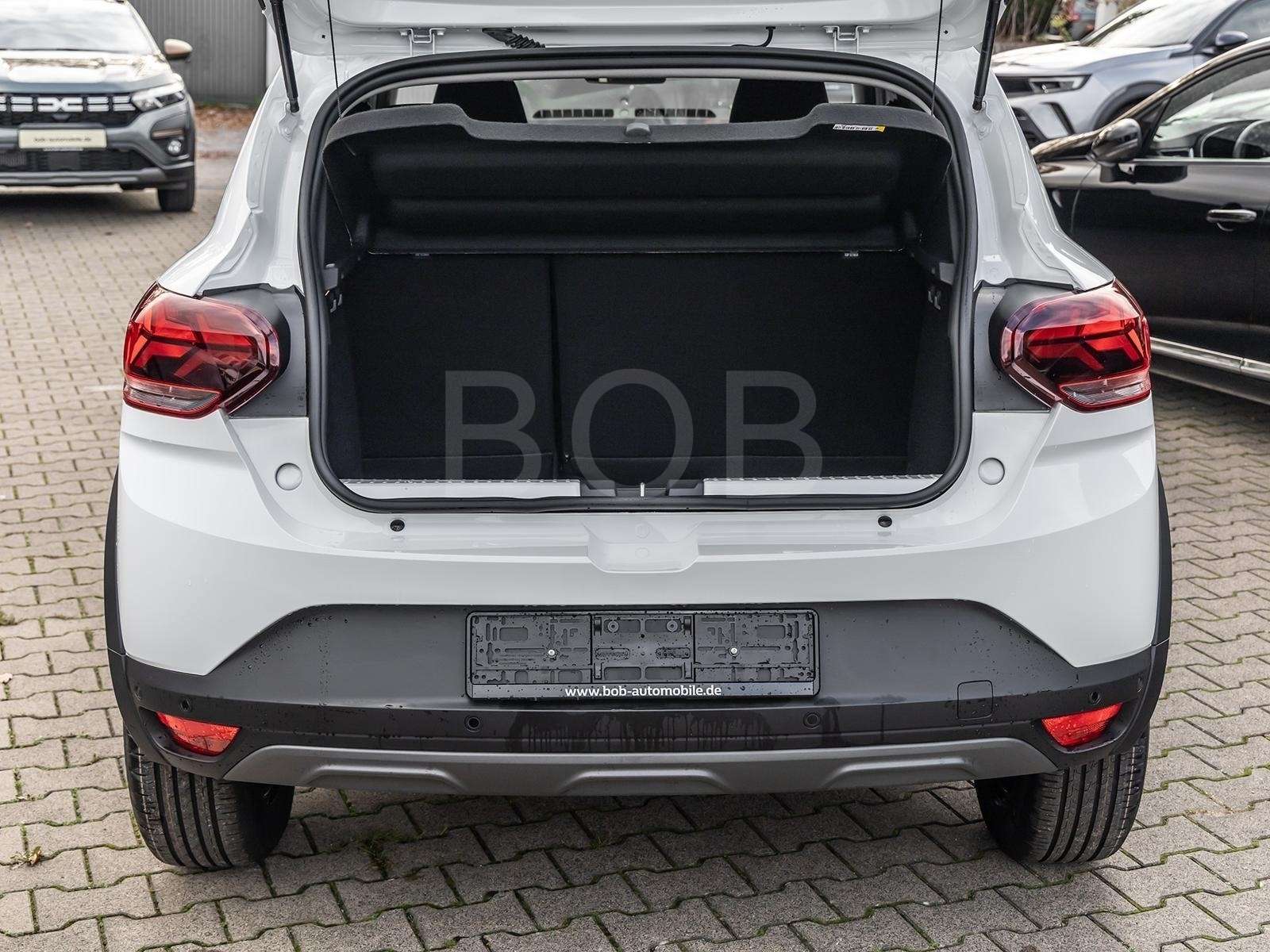 Fahrzeugbild eines Dacia Sandero