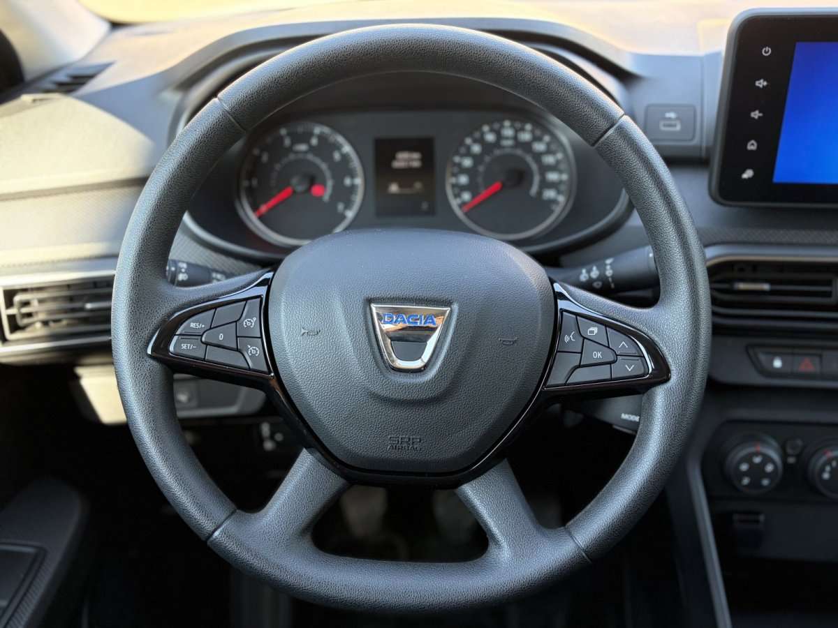 Fahrzeugbild eines Dacia Jogger