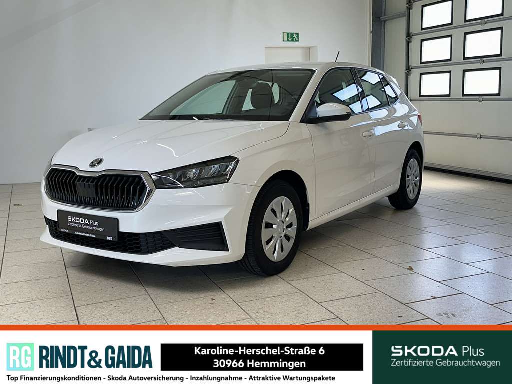 Fahrzeugbild eines Skoda Fabia